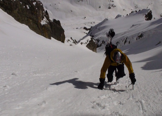 Le grand bête qui monte qui monte...