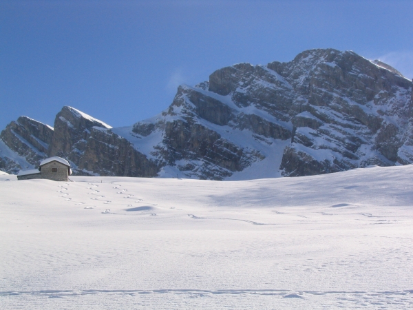 #1 Marguareis face N : Bonne poudre sous le refuge Garelli. Marguareis face N : Bonne poudre sous le refuge Garelli.