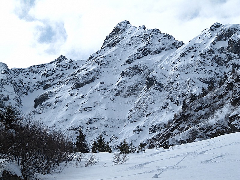 #13 vue d vue d'un peu plus bas : et toujours de la poudre ! bien qu'elle s'humidifie à vue d'oeil