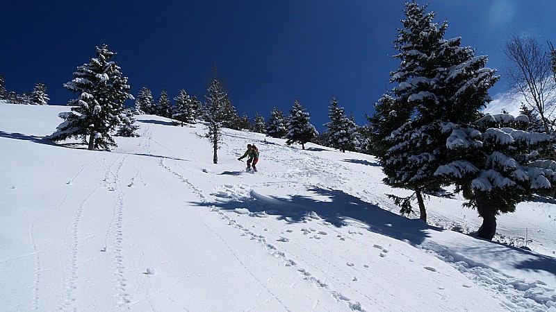 Val Pelouse : Mm dans la foret a Val Pelouse, c'est gavé.