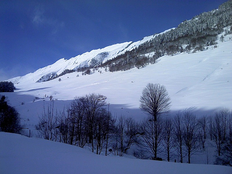 #1 Sortie de forêt : Dent d Sortie de forêt : Dent d'Arclusaz et pointe Nord de la combe à droite