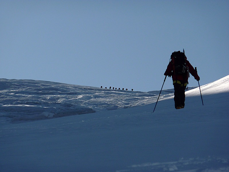 #3 Suivez le pointillé : On est pas les seuls. Suivez le pointillé : On est pas les seuls.
