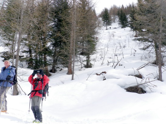 #12 Coupe de bois : C Coupe de bois : C'est par là qu'on aurait du monter...