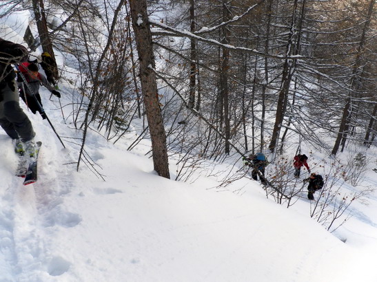 #8 Sanglier : Faut pas monter par la forêt! Sanglier : Faut pas monter par la forêt!