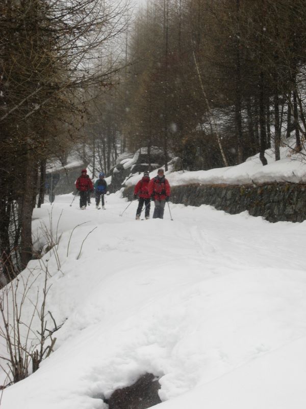 #7 Sur la piste : La trope au complet arrive au carrefour. Sur la piste : La trope au complet arrive au carrefour.