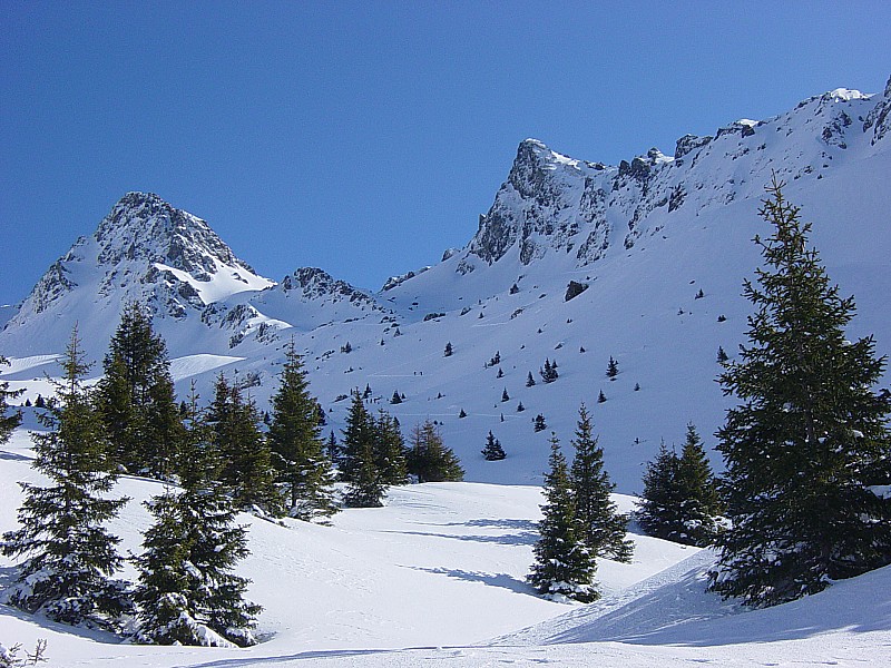 #1 Vallon du Vénetier vers le col : Avril ou Février ? Vallon du Vénetier vers le col : Avril ou Février ?