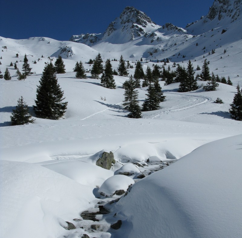#1 Col de l Col de l'Aigleton : Un petit torrent à demi gelé