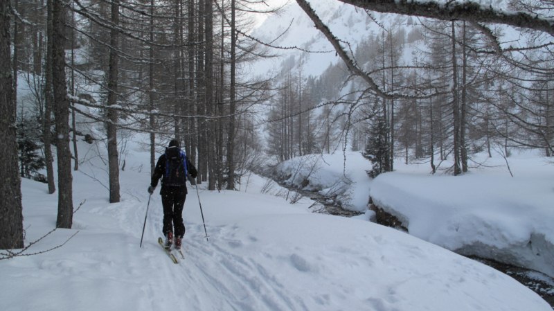 Début du vallon de Bérard : La neige tombe à gros flocons