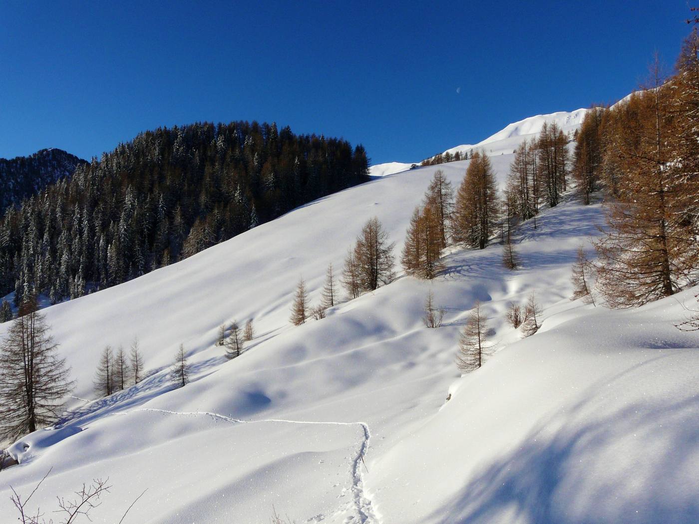 #1 Alpage aprés le serre Langas : sa promet du bon pour la suite Alpage aprés le serre Langas : sa promet du bon pour la suite