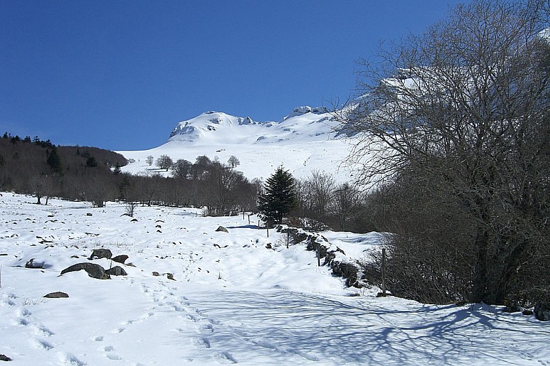 #1 Cantal sauvage : Un bien joli coin Cantal sauvage : Un bien joli coin