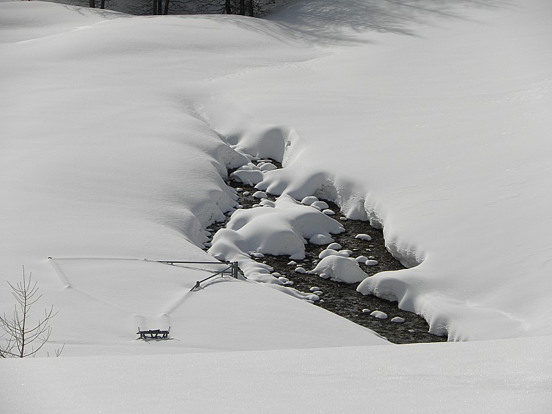 #2 Orée du bois. : Parc à bestiaux environ 1m50 de neige. Orée du bois. : Parc à bestiaux environ 1m50 de neige.
