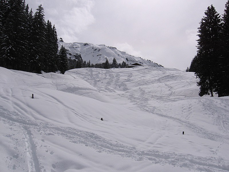 #1 montée des alpages : cadre agréable montée des alpages : cadre agréable