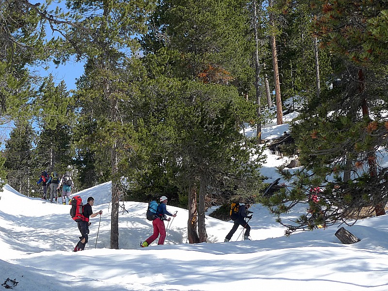 #1 Promenons nous : dans les bois Promenons nous : dans les bois