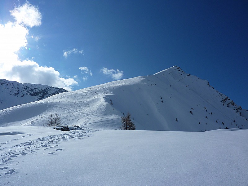 #8 montée : vers 2300m : sommet en vue, il y a du monde montée : vers 2300m : sommet en vue, il y a du monde