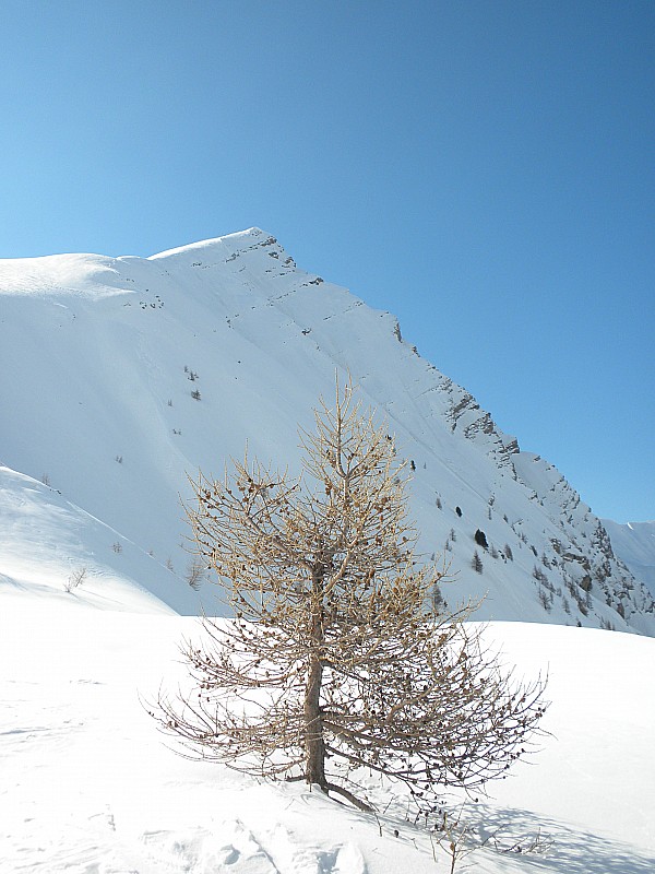 #6 aiguille 6 : le sommet a mi chemin aiguille 6 : le sommet a mi chemin
