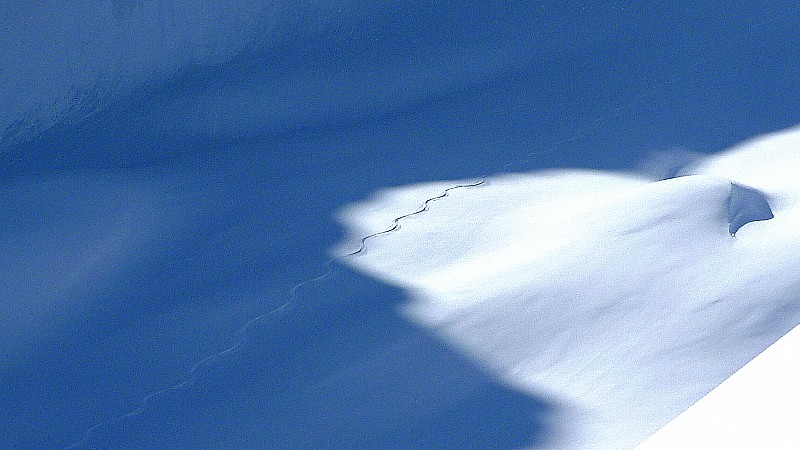 #5 Une trace et son négatif : vallon de l Une trace et son négatif : vallon de l'Infernet