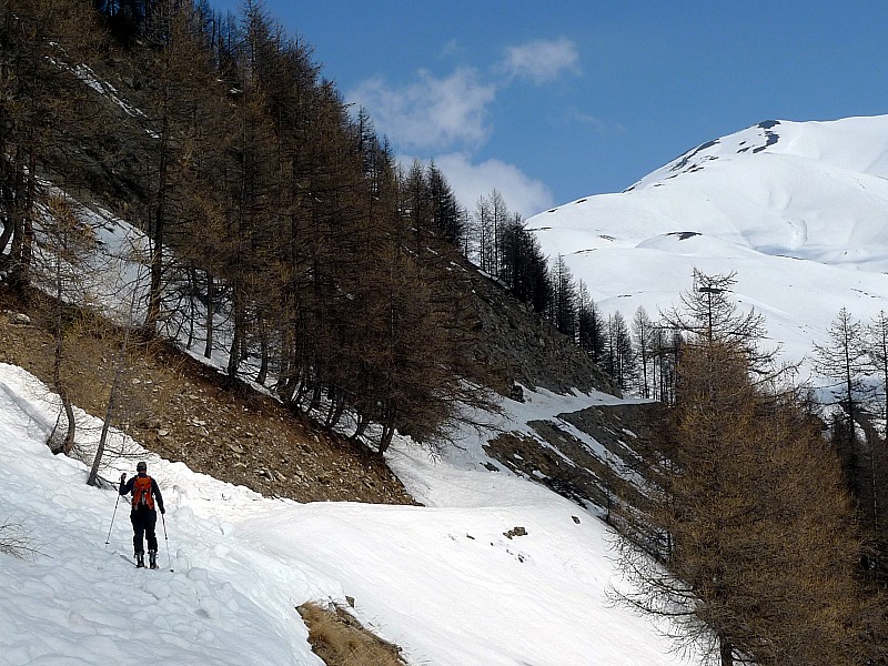 #13 La piste forestière : ça passe encore à skis La piste forestière : ça passe encore à skis