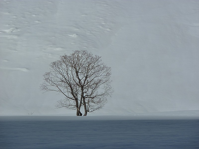 #11 A l A l'entrée de la Romanche : Isolé
