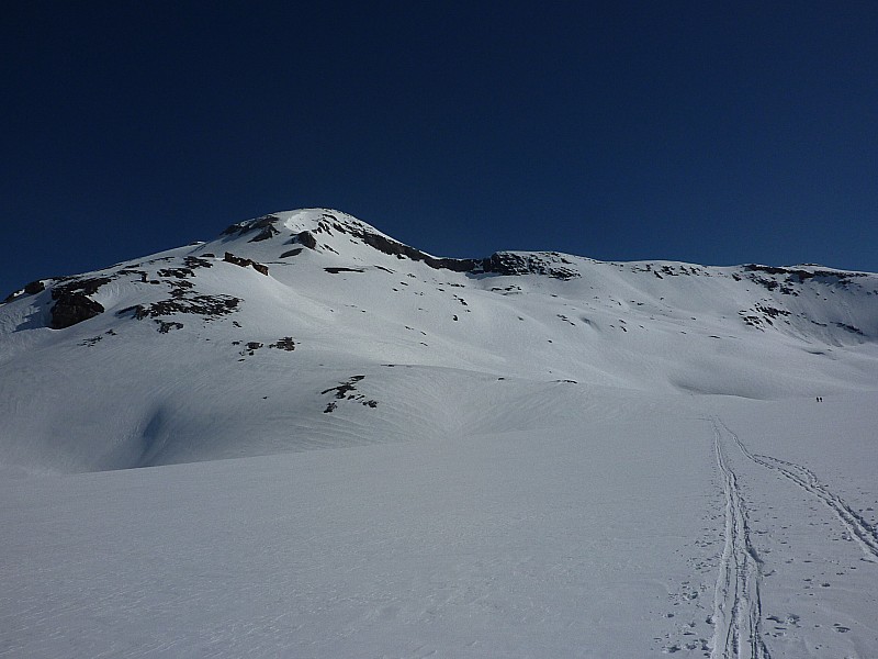 Glacier de la plaine morte : Face sud du Wildstrubel