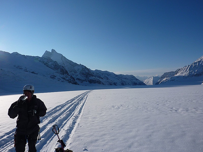 Jungfraufirm : Enfin le soleil, ça réchauffe.