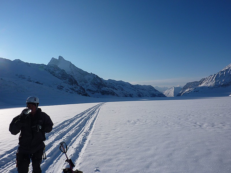 #28 Jungfraufirm : Enfin le soleil, ça réchauffe. Jungfraufirm : Enfin le soleil, ça réchauffe.