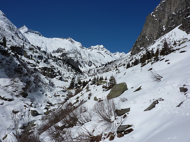 Vallon de Voralp : Heureusement, ça chauffe pas trop.