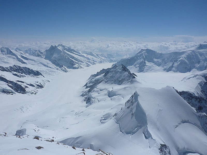 Jungfrau : Vue sur le Jungfraufirm, devenant Aletschgletcher