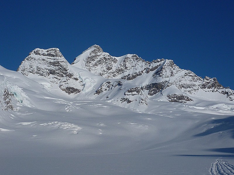 #27 Jungfraufirm : Au centre la Jungfrau Jungfraufirm : Au centre la Jungfrau
