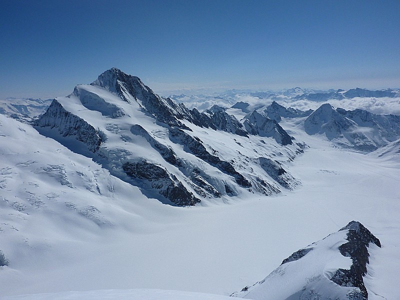 #36 Grunhorn : Le Finsteraarhorn surplombant le Fieschergletscher. Grunhorn : Le Finsteraarhorn surplombant le Fieschergletscher.