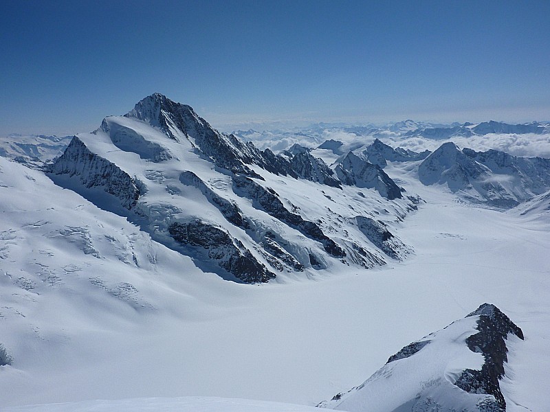 Grunhorn : Le Finsteraarhorn surplombant le Fieschergletscher.