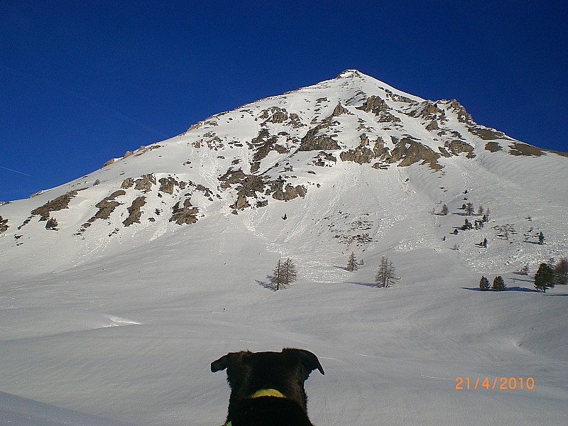 #1 Peygu : Vue générale de la face S-SE du Grand Peygu. Peygu : Vue générale de la face S-SE du Grand Peygu.