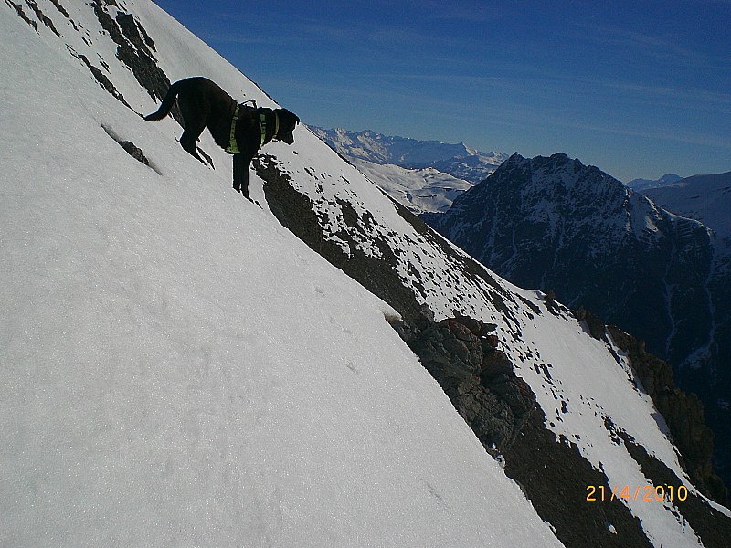 #2 Peygu : Montée de la face sud, sur fond de Lasseron. Peygu : Montée de la face sud, sur fond de Lasseron.