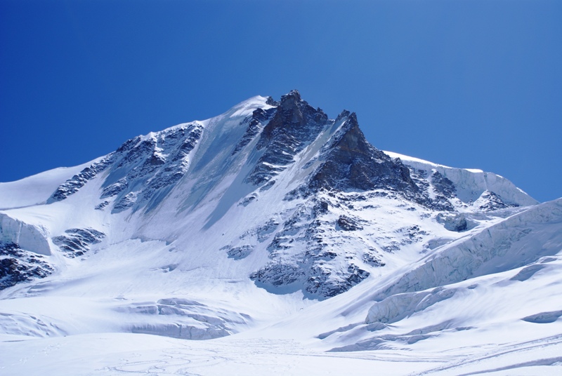 #2 Face Nord Grand Paradis : Face Nord du Grand Paradis, tout en glace... Face Nord Grand Paradis : Face Nord du Grand Paradis, tout en glace...
