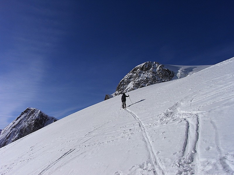 #1 Viervier : à la trace Viervier : à la trace