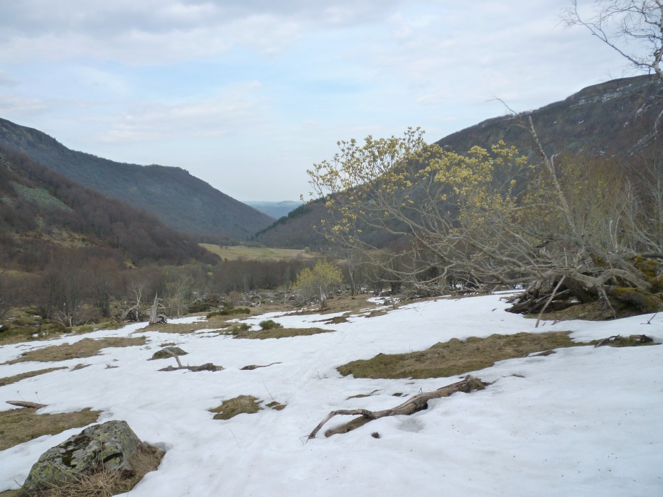 #5 vallée de Chaudefour : j vallée de Chaudefour : j'irai guère plus loin