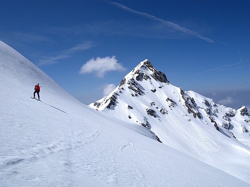 #1 Petit bonhomme : Grand Doménon Petit bonhomme : Grand Doménon