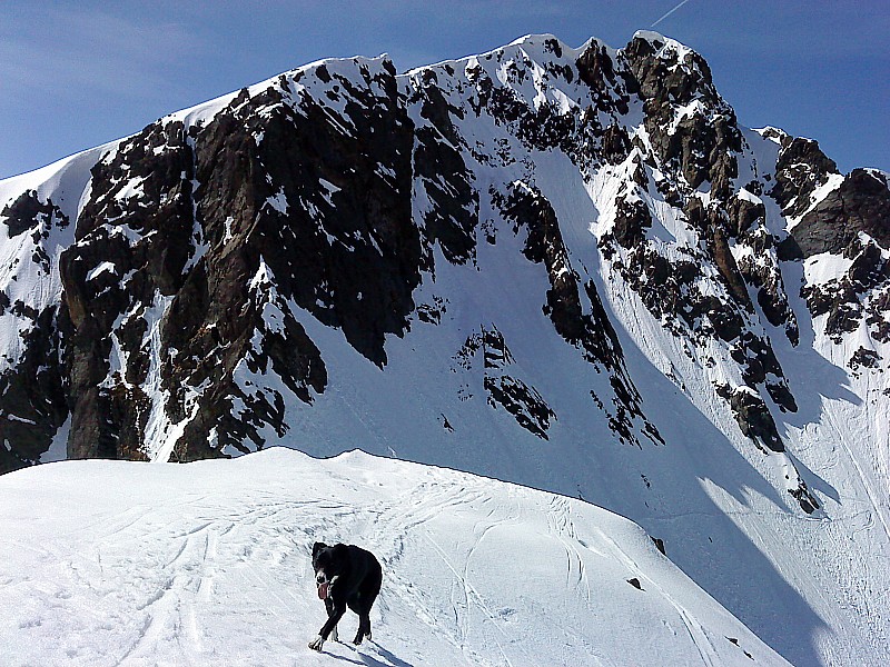#3 sommet Colomb : pic de la Pierre sommet Colomb : pic de la Pierre