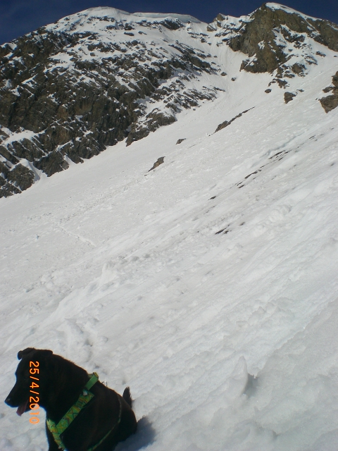 #4 Turge : Vers le bas du couloir. Turge : Vers le bas du couloir.