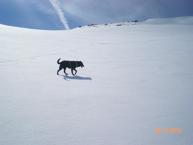 #9 Turge : Pente Nord en bonnes conditions Turge : Pente Nord en bonnes conditions