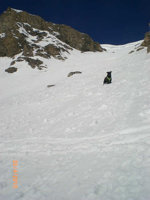 #3 Turge : Dans le couloir Est. Turge : Dans le couloir Est.