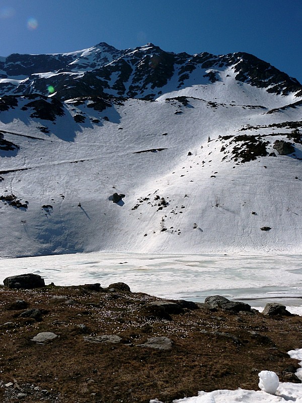#2 Dent de Bédina : et le lac de la Jasse avec quelques crocus de sortis. Dent de Bédina : et le lac de la Jasse avec quelques crocus de sortis.
