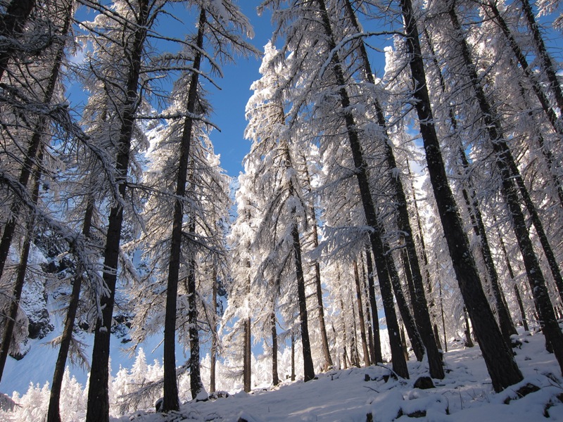 #3 Vallon du Petit Tabuc : quelle ambiance Vallon du Petit Tabuc : quelle ambiance