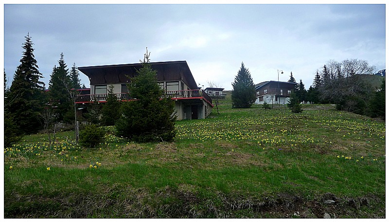 #1 C C'est le printemps : C'est bien le printemps malgré une météo peu clémente !
