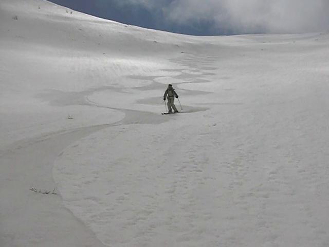 #2 Pt Lattinicia Philou en action : vers 2000m dans la combe de Soliariccia , qui porte bien son nom, Philou croise mes traces en 8, un vrai régal! Pt Lattinicia Philou en action : vers 2000m dans la combe de Soliariccia , qui porte bien son nom, Philou croise mes traces en 8, un vrai régal!