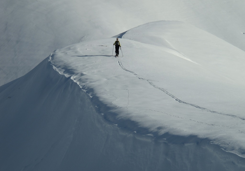 #5 Traces Traces