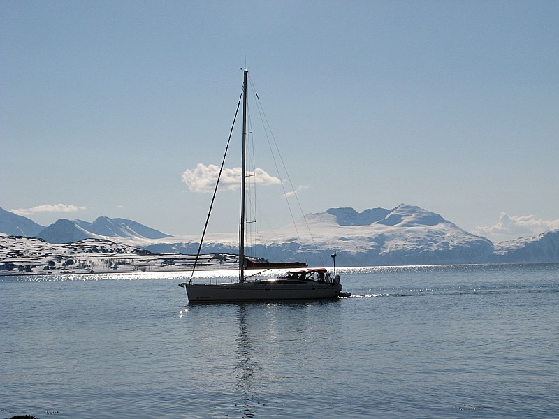 #11 Artic light : Arne notre skipper, est au rendez vous Artic light : Arne notre skipper, est au rendez vous