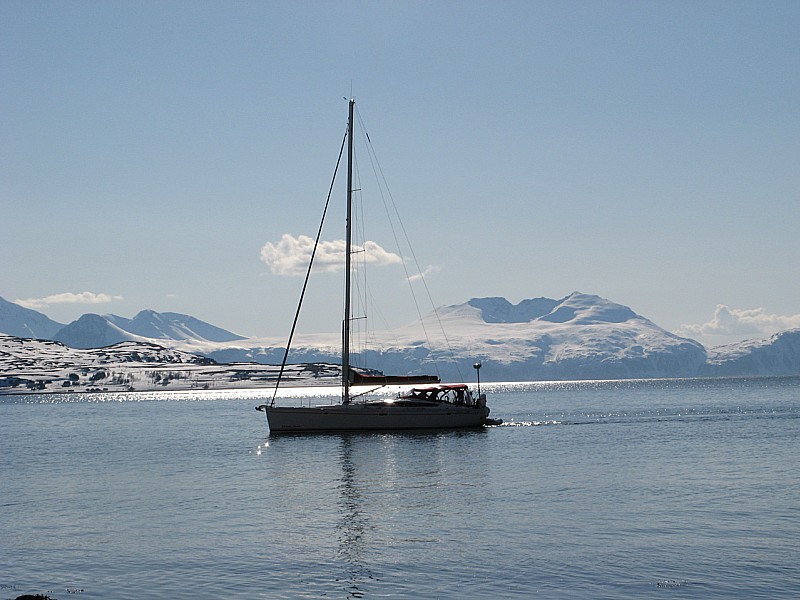 Artic light : Arne notre skipper, est au rendez vous