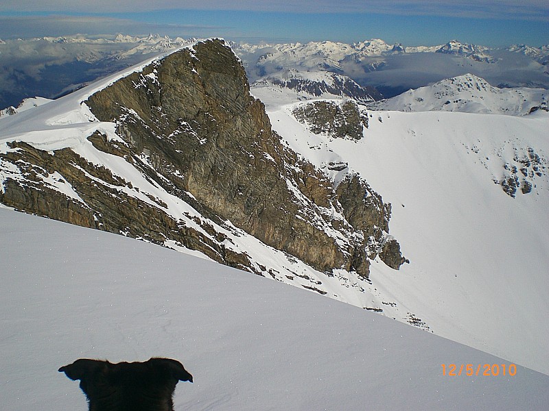#3 Charvie : La cime de la Charvie Charvie : La cime de la Charvie