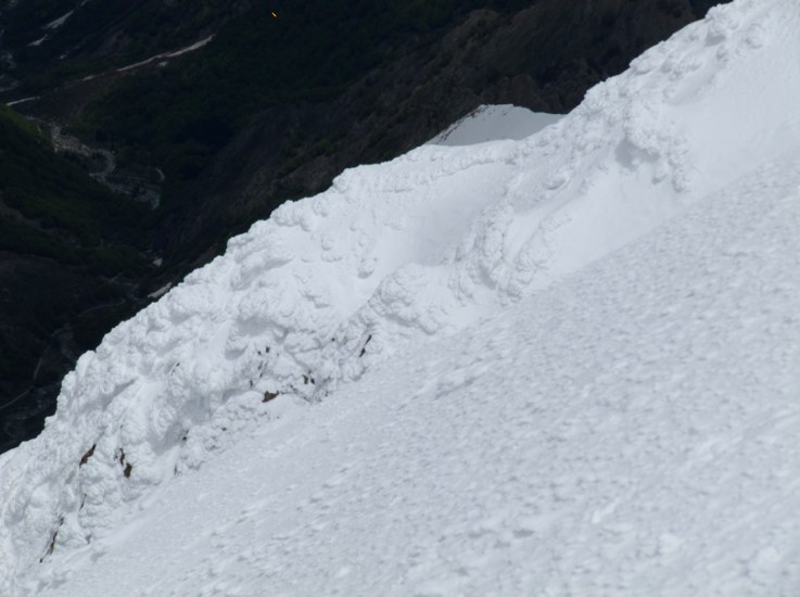 #35 Gros chouxfleurs de neige Gros chouxfleurs de neige