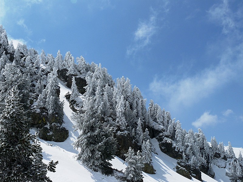 #8 Chamrousse : A midi les arbres sont toujours givrés, belle ambiance. Chamrousse : A midi les arbres sont toujours givrés, belle ambiance.